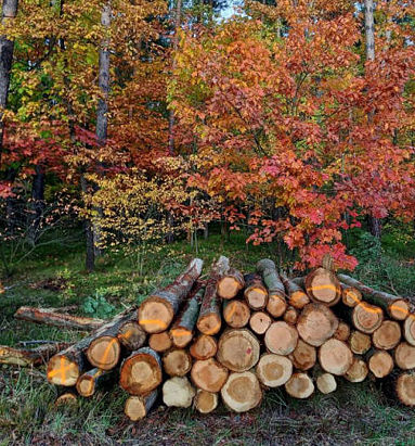 Na marginesie: weź się do roboty